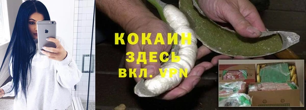 МДПВ Вяземский