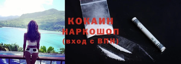 МДПВ Вяземский