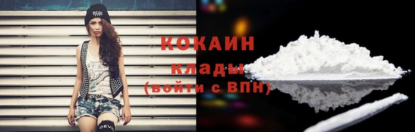 крисы Вязники