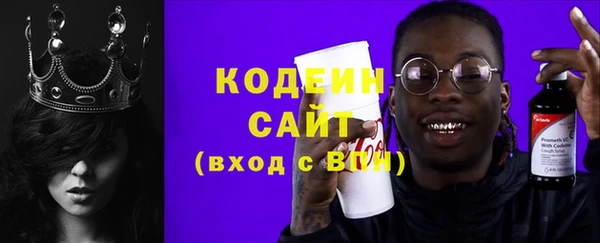 МДПВ Вяземский