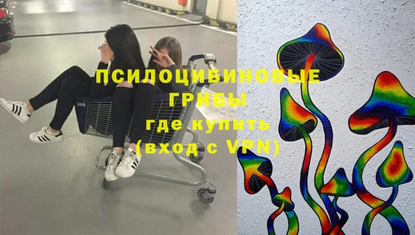 крисы Вязники