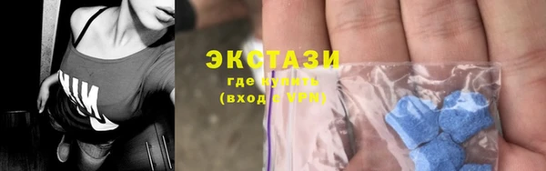 МДПВ Вяземский