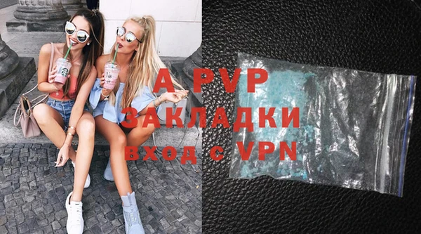 МДПВ Вяземский