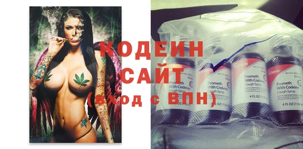 МДПВ Вяземский
