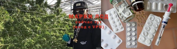 МДПВ Вяземский